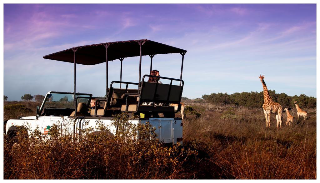 Thali Thali Game Lodge Langebaan Exterior foto