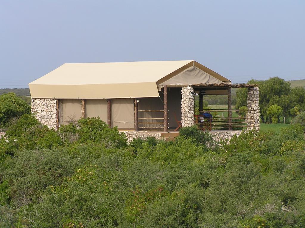 Thali Thali Game Lodge Langebaan Habitación foto